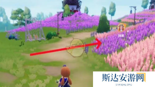 心动小镇熊蜂在哪 心动小镇熊蜂任务攻略