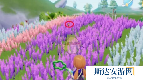 心动小镇熊蜂在哪 心动小镇熊蜂任务攻略