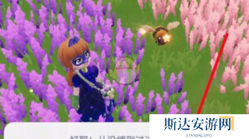 心动小镇熊蜂在哪 心动小镇熊蜂任务攻略