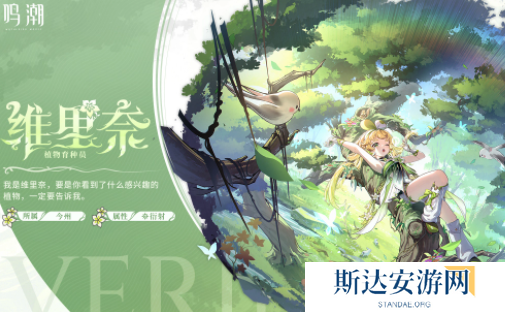 鸣潮椿怎么配队 鸣潮椿主c配队推荐