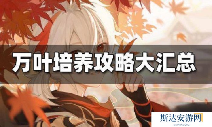 万叶怎么养 原神枫原万叶培养攻略